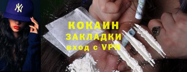 шишки Абинск