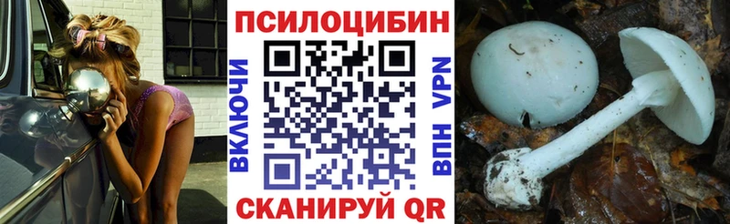 Псилоцибиновые грибы ЛСД  купить наркоту  Дальнереченск 